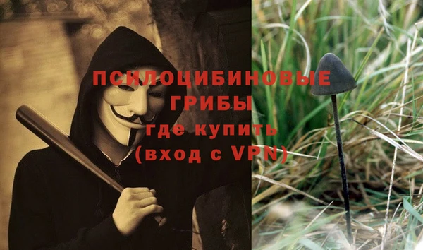 ПСИЛОЦИБИНОВЫЕ ГРИБЫ Абдулино