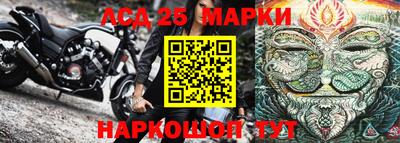 индика Заводоуковск