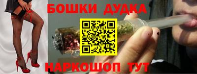 индика Заводоуковск