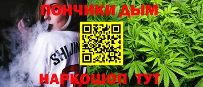 индика Заводоуковск