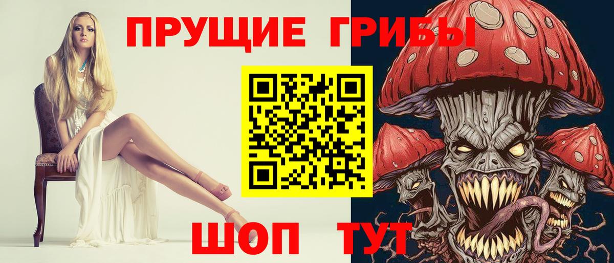 Галлюциногенные грибы Psilocybine cubensis  Вход с VPN  Ивантеевка 
